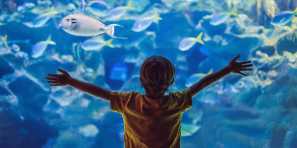 6 actividades de verano en Lisboa para niños Hotel Roma 6 actividades de verano en Lisboa para niños Hotel Roma